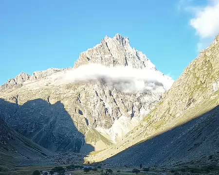 20250729_075624-01 Il gèle ce matin, tout le monde met son écharpe.