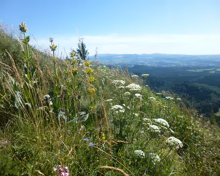 P1210440 Au loin, le massif du Puy de Sancy