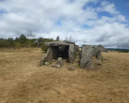 P1210462 Le dolmen de Cournols ; les fouilles ont eu lieu en 1841