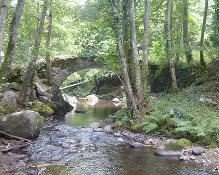 P1210466 Les gorges de la Monne et le pont de Riberolles