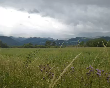 P1210475 Le château de Murol