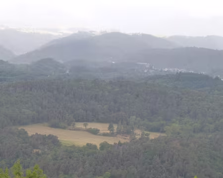 P1210476 Eglise de Saint-Nectaire