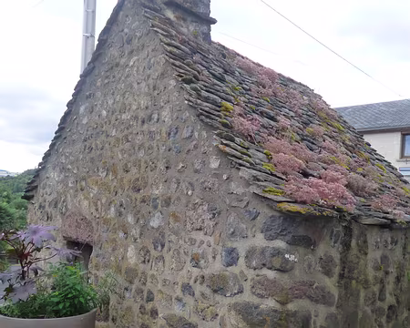 P1210494 Four à pain