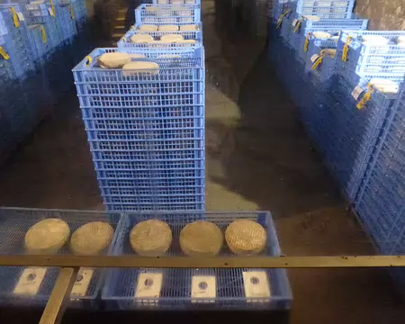 P1210515 ...sa cave pour l'affinage du Saint-Nectaire.