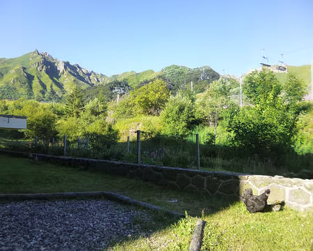 P1210531 J7 - La poule, son poussin et le Puy de Sancy...