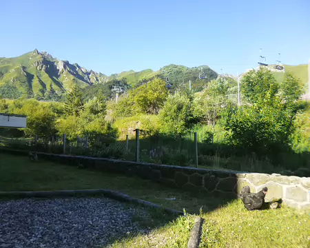 P1210531 J7 - La poule, son poussin et le Puy de Sancy...