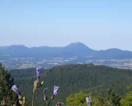 P1210580 La Chaîne des Puy et le Puy de Dôme
