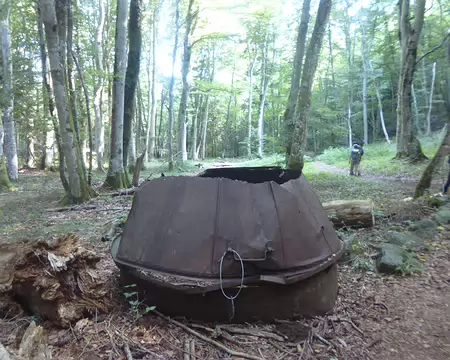 P1210606 Marmite de charbonnier dans le bois du Puy de Côme