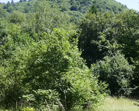 Le Cliersou, 1 199 m.