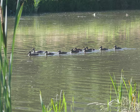 Répétition pour le 14 juillet.