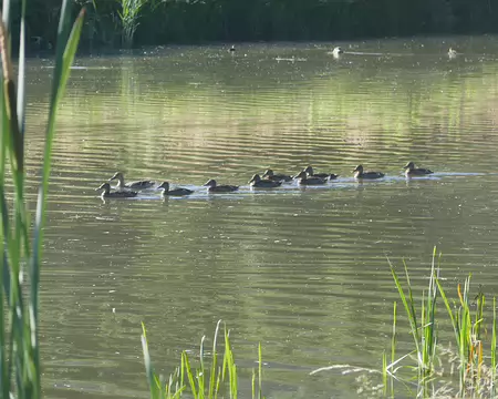 Répétition pour le 14 juillet.