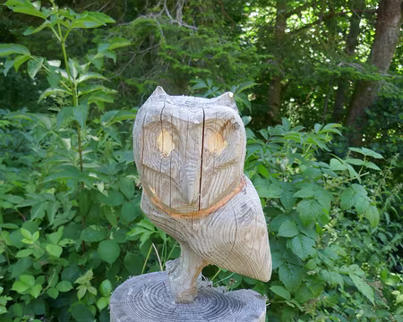 Hou hou ! Voilà du monde !