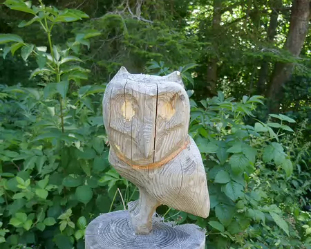 Hou hou ! Voilà du monde !