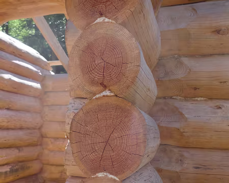 Remarquez la liaison étanche entre les fûts.