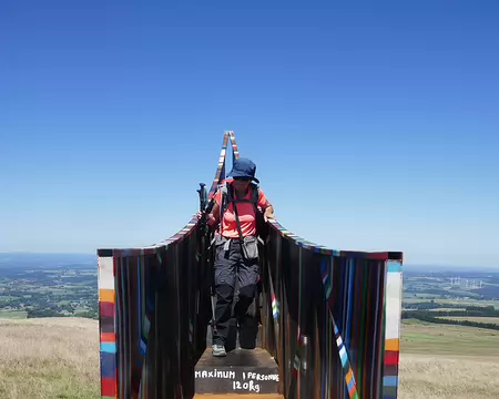 Jocelyne is the lady who bought a stairway to Heaven.