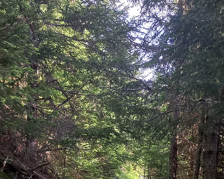 2025-07-19 08-41-00 Dernière...