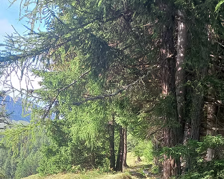 2025-07-19 09-23-15 ...bisse