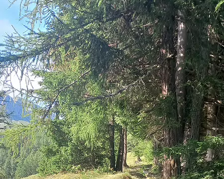 2025-07-19 09-23-15 ...bisse