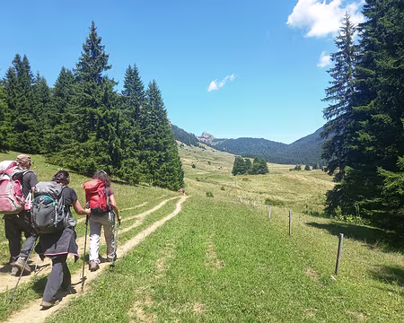 20250711_140806-01 Arrivée au Champ Laitier