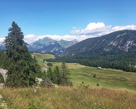 20250711_160502-01 Plateau des Glières depuis la montagne des Frêtes.