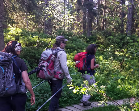 20250712_084823-01 En chemin vers la montagne des Auges.