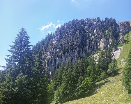 20250712_121537-01 Sous les Ovenettes.