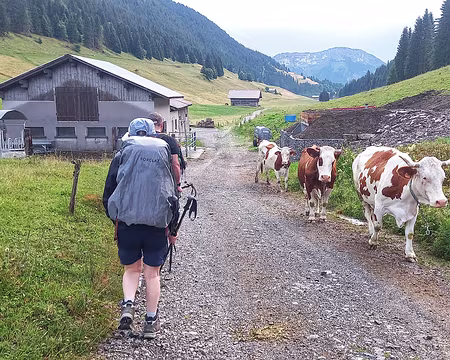 20250713_084859-01 Chassé croisé du 13 juillet.