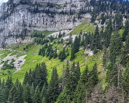 20250713_102749-01-01 Col de Spée et Crépon de Montoulivert
