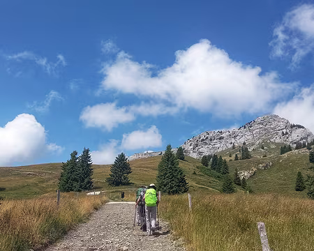 20250713_112952-01 Montagne de Sous-Dîne