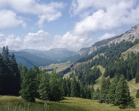 20250713_114325-01 Champ Laitier.