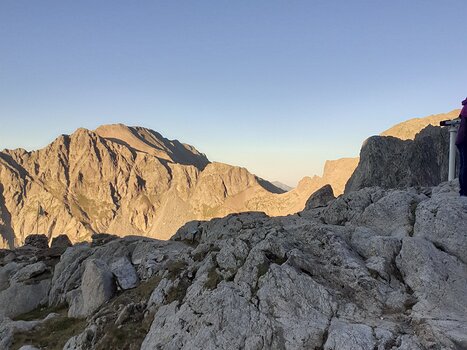 Alice Alice P, détail sortie