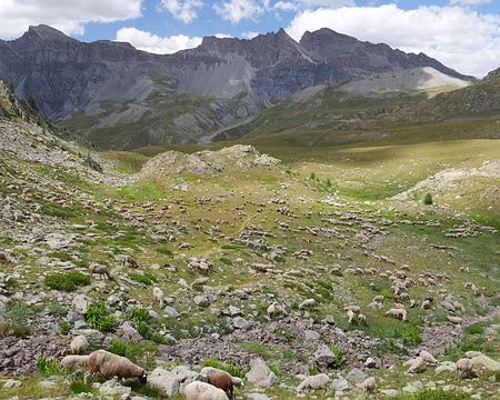 P1190247_1 En plein dans le mille.