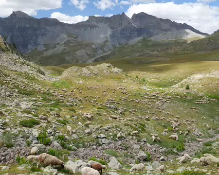 P1190247_1 En plein dans le mille.