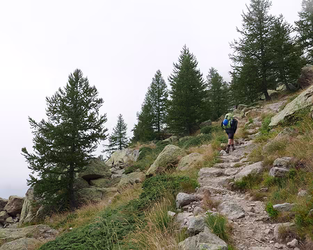 P1190596 Montée au Rifugio Franco Remondini dans les nuages.
