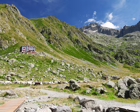 P1190658 Il ne reste plus qu'à remonter au Rifugio Soria Ellena pour aujourd'hui.
