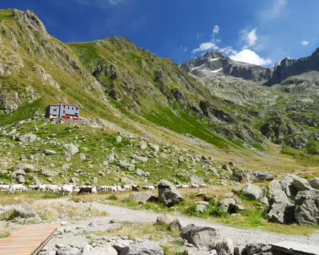 P1190658 Il ne reste plus qu'à remonter au Rifugio Soria Ellena pour aujourd'hui.