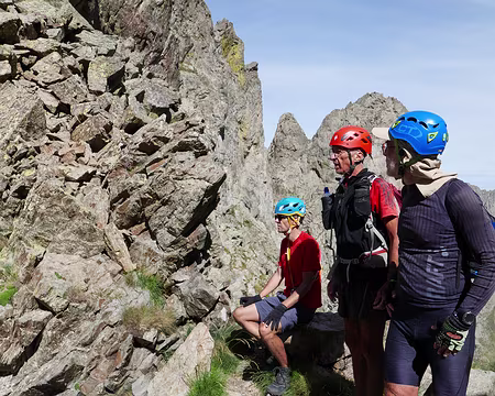 P1190689 A Forcella Roccati avec la saxifrage à nombreuses fleurs dans son environnement rocheux !