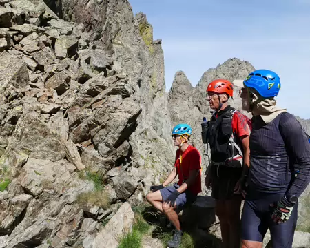 P1190689 A Forcella Roccati avec la saxifrage à nombreuses fleurs dans son environnement rocheux !