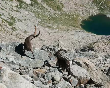 P1190789 Intimidation au-dessus du Lac de l'Agnel.
