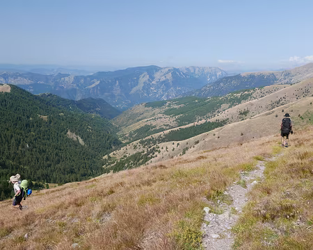 P1190892 Vue sur le vallon des Graus en descendant à la Baisse Cavaline.