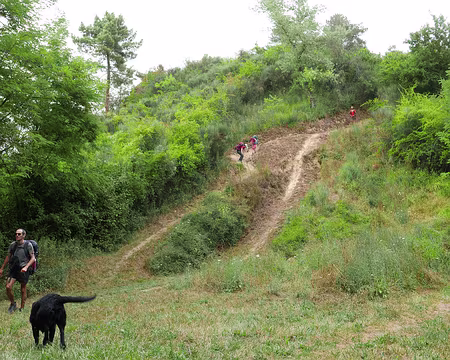 P1190914 Descente à Sospel par son bikepark !