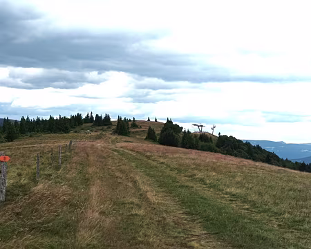 IMG_20250706_155908 sommet du Schnepfenried