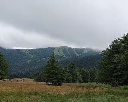 IMG_20250707_142733 sur les crêtes vers le Markstein