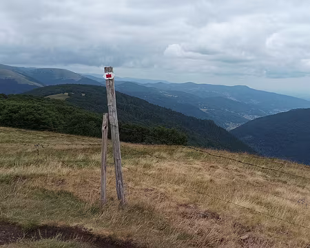 IMG_20250709_142533 sur le GR5 sentier des crêtes des hautes chaumes