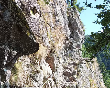 IMG_20250710_091926 départ sur le sentier des Roches par un bel escalier