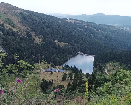IMG_20250711_120627 lac du Forlet (des Truites)