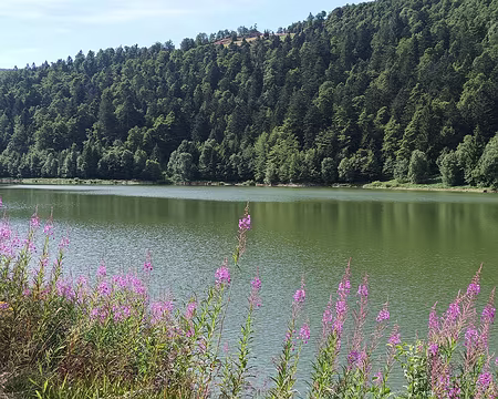 IMG_20250712_102031 lac de la Lande