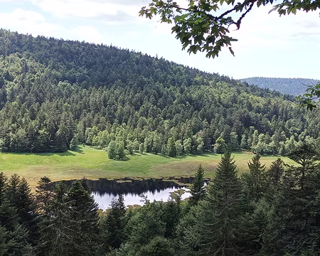 IMG_20250712_150501 vue sur la tourbière du Machais