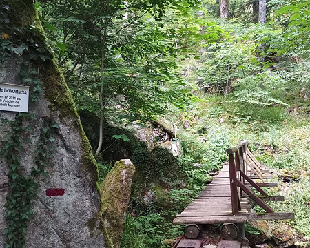 IMG_20250713_144711 descente par le sentier de la Wormsa