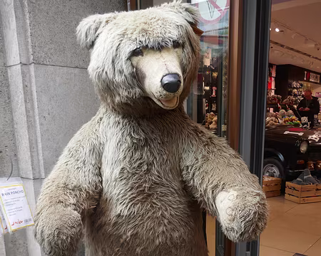 Un ours à polis tout seul.